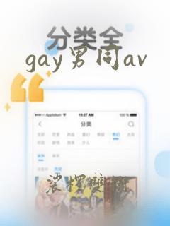 gay男同av