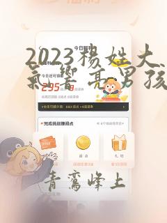 2023杨姓大气响亮男孩名字