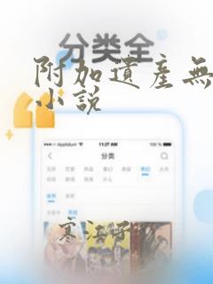 附加遗产无删减小说