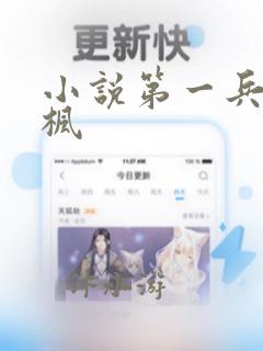 小说第一兵王于枫