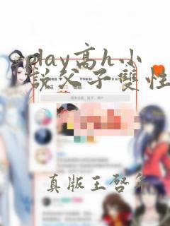 play高h小说父子双性