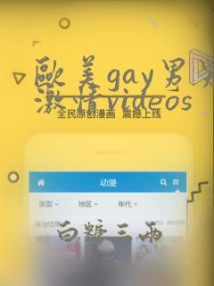 欧美gay男男激情videos