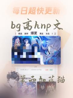 bg高hnp文