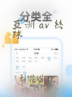 亚洲 av 丝袜