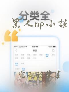 黑人np小说