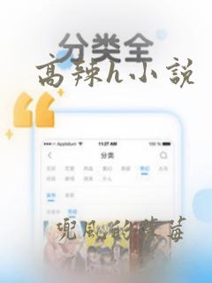 高辣h小说