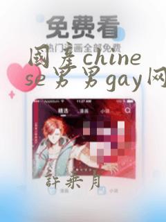 国产chinese男男gay网站大全