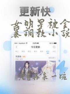 女明星被金主粗暴调教小说