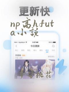 np高hfuta小说