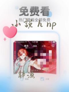 小说 h np