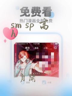 sm sp 高h