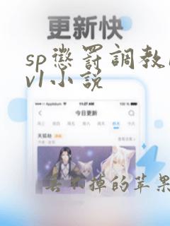 sp惩罚调教1v1小说