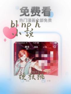 bl np h小说