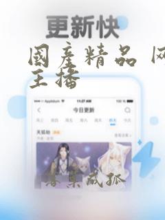 国产精品 网红主播