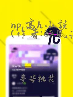 np,高h小说(作者:醉风流)