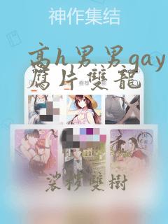 高h男男gay腐片双龙