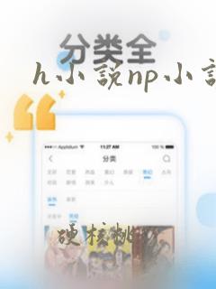 h小说np小说