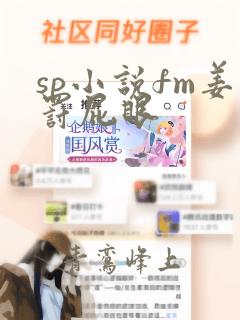 sp小说fm姜罚屁眼