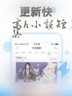 高h小说短篇合集