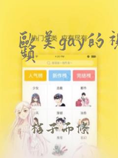 欧美gay的视频