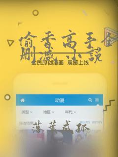 偷香高手全文无删减 小说