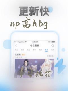 np高hbg