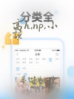 高h,np,小说