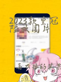 2023款皇冠陆放图片