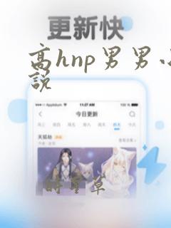 高hnp男男小说