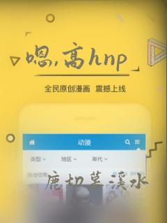 嗯,高hnp