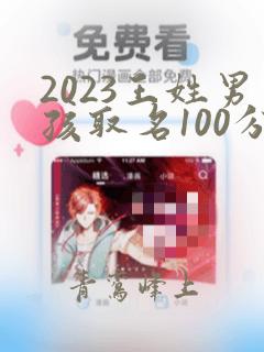 2023王姓男孩取名100分