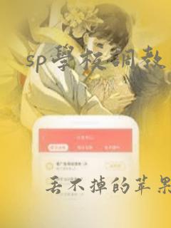 sp学校调教