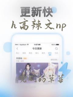 h高辣文np