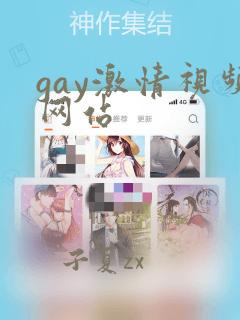 gay激情视频网站