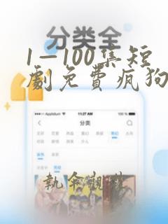 1—100集短剧免费疯狗传