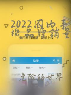 2022国内手机品牌销量排行榜前十名