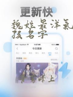 魏姓最洋气的男孩名字