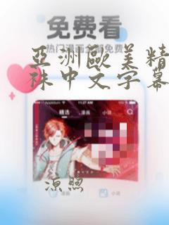 亚洲欧美精品丝袜中文字幕