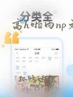 高h啪肉np文