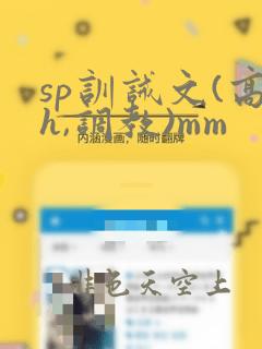 sp训诫文(高h,调教)mm