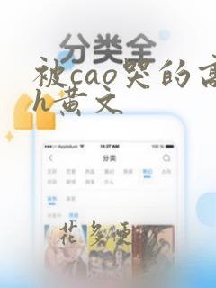 被cao哭的高h黄文