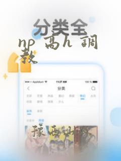 np 高h 调教