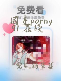 国产porny 91 在线