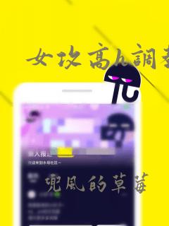 女攻高h调教文