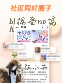 bl总受np高h