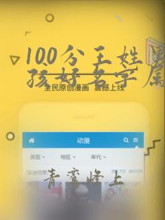 100分王姓男孩好名字属鼠