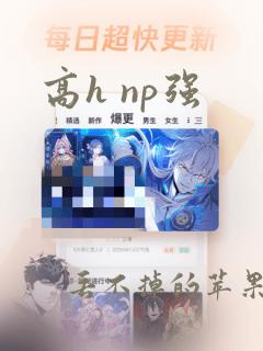 高h np强