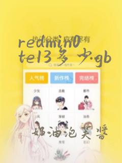 redmin0te13多少gb