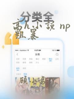 高h小说 np 粗暴