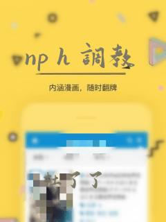 np h 调教